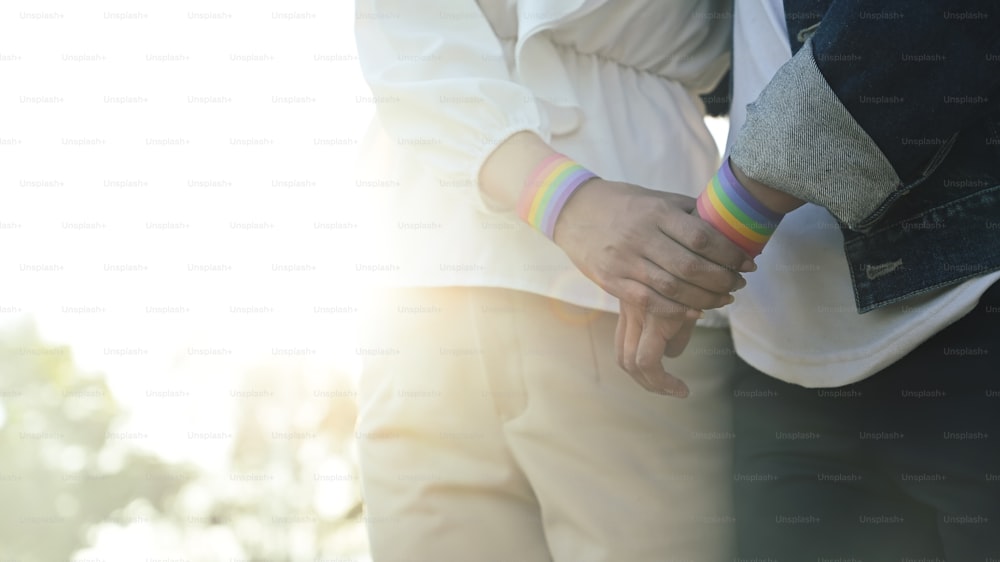 Abgeschnittenes Bild eines jungen LGBT-lesbischen Paares, das Händchen hält, während es zusammen im wunderschönen Sonnenuntergang auf dem Rasen spazieren geht. LGBT-Glückskonzept.