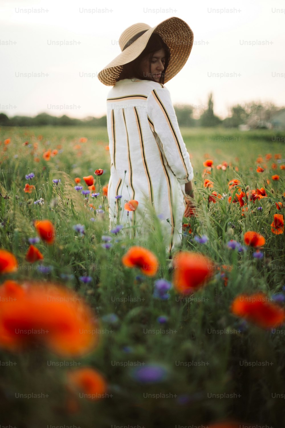 Stilvolles Mädchen mit Hut, das in Wildblumen im Sonnenuntergangslicht auf der Sommerwiese spazieren geht. Junge Frau in Leinenkleid, die zwischen Mohn und Kornblumen auf dem Land spazieren geht. Ländliches langsames Leben. Das einfache Leben genießen