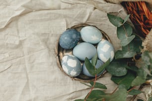 Happy Easter. Modern Easter eggs on vintage plate on rustic table with spring flowers and eucalyptus. Stylish pastel blue Easter eggs painted in natural dye from red cabbage. Rural still life