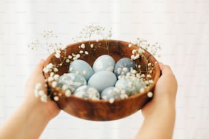 Auguri di buona Pasqua. Mani che tengono ciotola di legno con uova di Pasqua moderne in fiori primaverili su sfondo bianco. Eleganti uova di Pasqua blu pastello dipinte con tintura naturale di cavolo rosso.