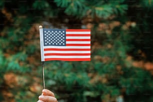 화창한 날 독립 기념일 개념에 미국 국기와 함께 국기의 날