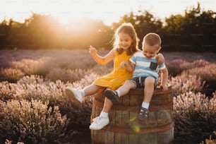Menino caucasiano tendo alegria com sua irmã maior sentada em um barril com um campo de lavanda no fundo