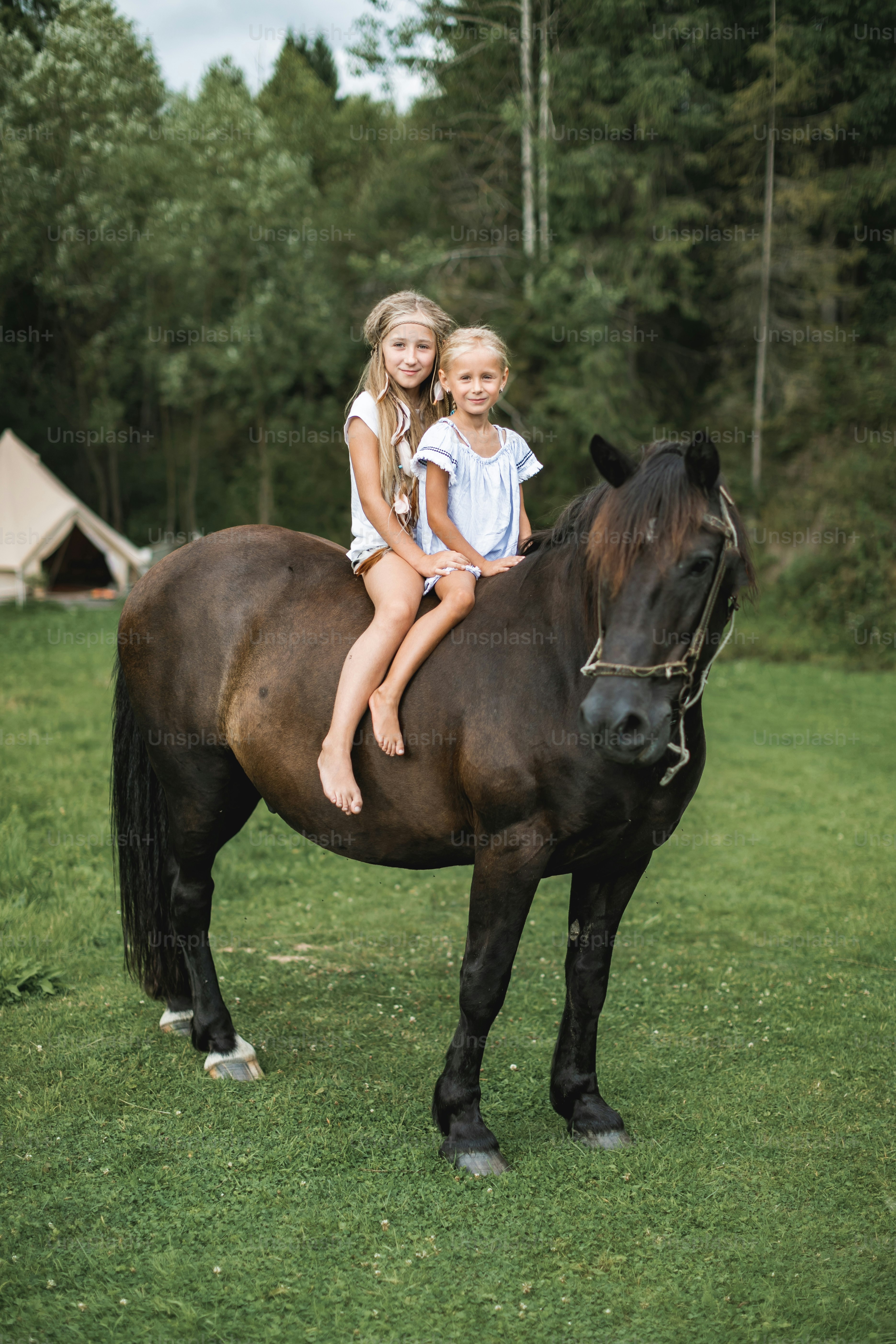 Two girls sitting on a dark brown horse in a grassy field