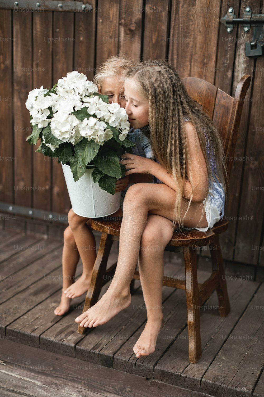 Niños y flores, verano, campo y diversión. Vacaciones de verano. Dos bonitas niñas sentadas en la silla frente a un granero de madera y oliendo flores de hortensias en un gran cubo blanco.