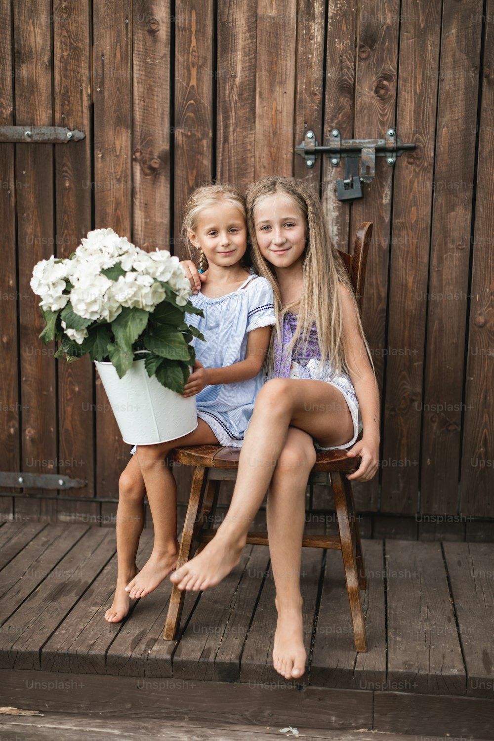 Two happy blond hair girls, sisters or friends, sitting together on the wooden chair near the old wooden barn outdoors, and holding flowers bouquet, white hydrangea in bucket.