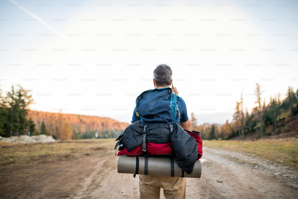 Rear view of mature man with backpack going hiking, using smartphone.