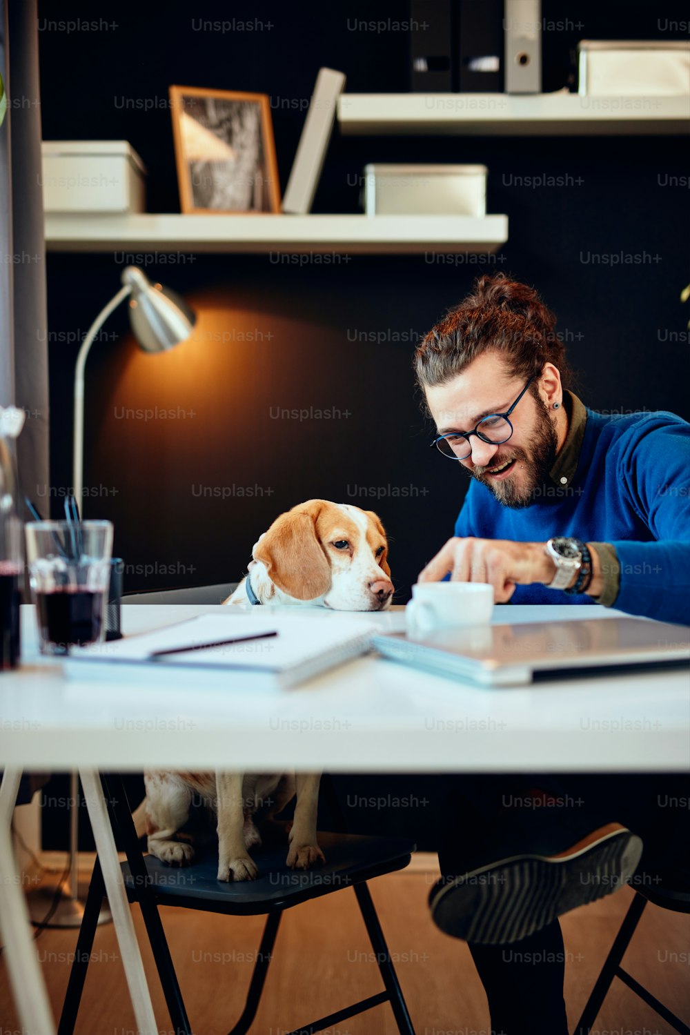 Fröhlich lächelnder, gutaussehender kaukasischer Mann, der in seinem Büro sitzt und mit seinem Hund spielt.