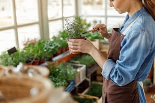 Side view of a serious woman loosening the soil around a plant with a mini-rake