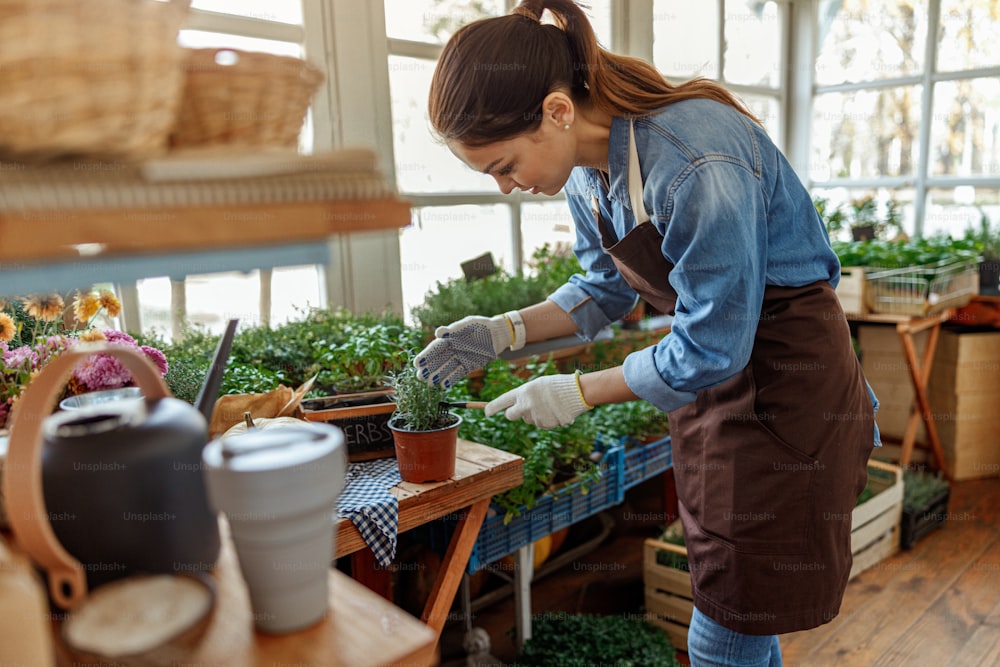 Side view of a smiling female loosening the soil around rosemary seedlings in a flowerpot