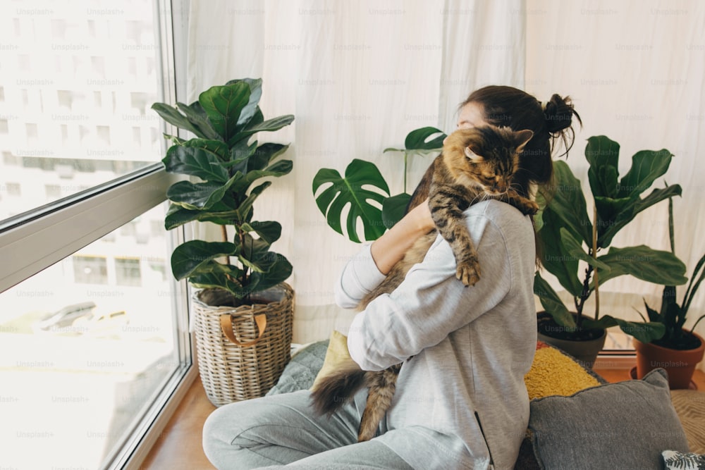 귀여운 고양이와 놀고 있는 힙스터 소녀, 코로나바이러스 격리 기간 동안 집에 함께 앉아 있습니다. 집에 안전하게 머물러 라. 바이러스 전염병을 예방하기 위해 집에서 격리. 현대 방에 고양이와 젊은 여자