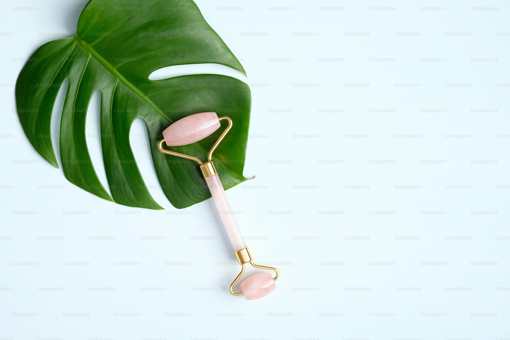 Rose quartz face roller with monstera leaf on blue background. Jade facial massager, anti-aging, anti-wrinkle beauty skincare tool