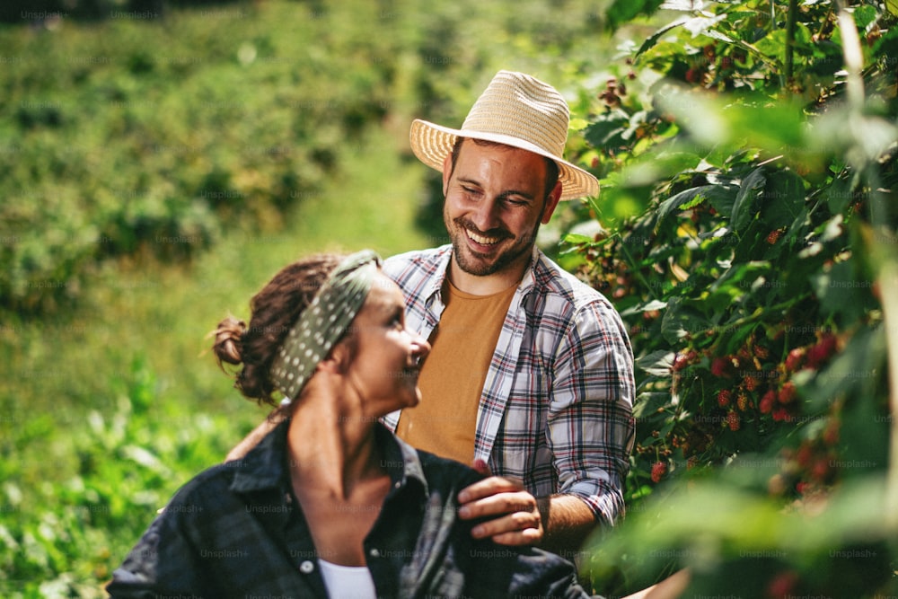 Young people harvesting fruit on a farm.