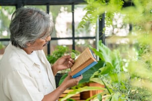 Asian senior man relaxing with reading a book in greenhouse garden