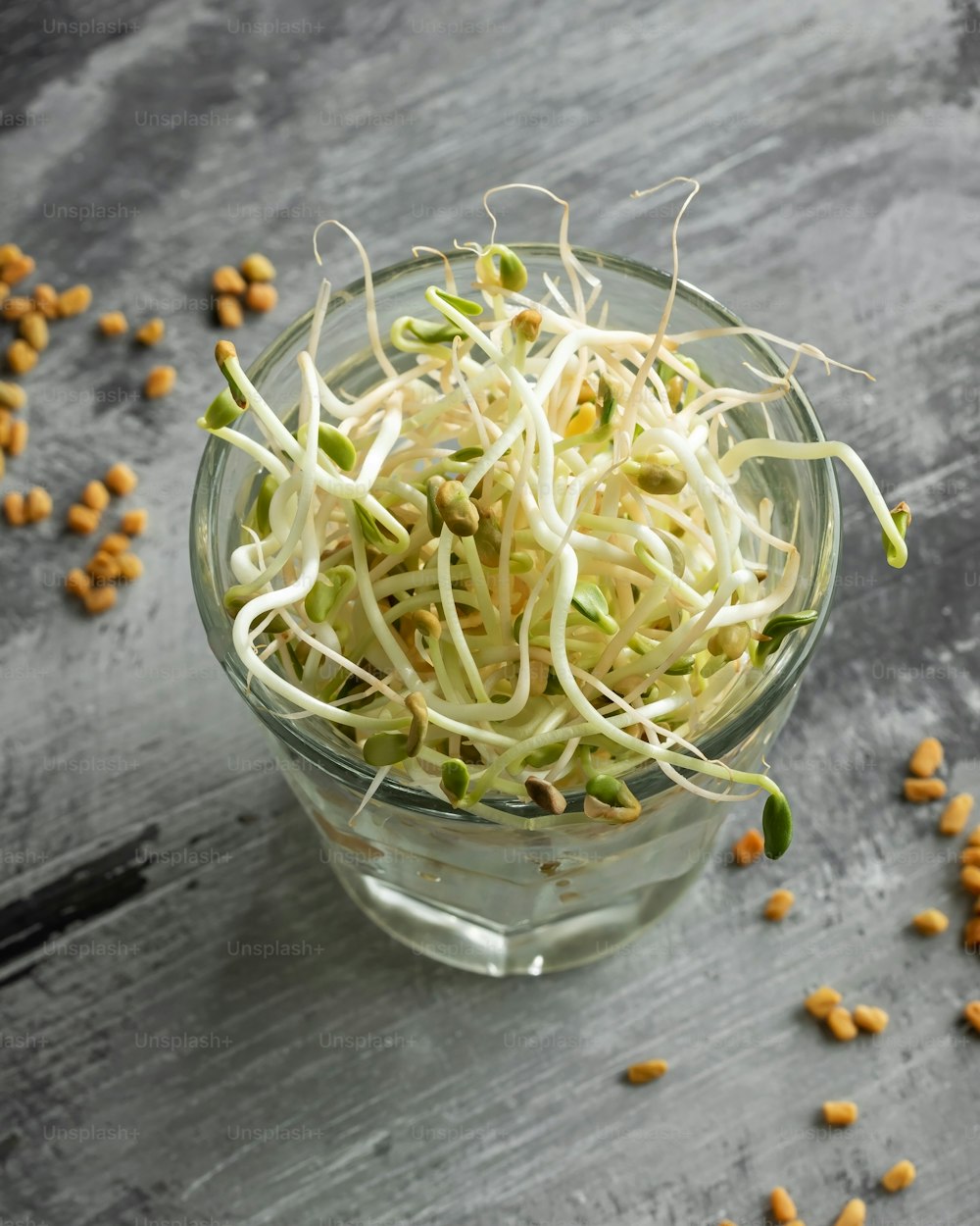 Fresh fenugreek sprouts in a glass on a table