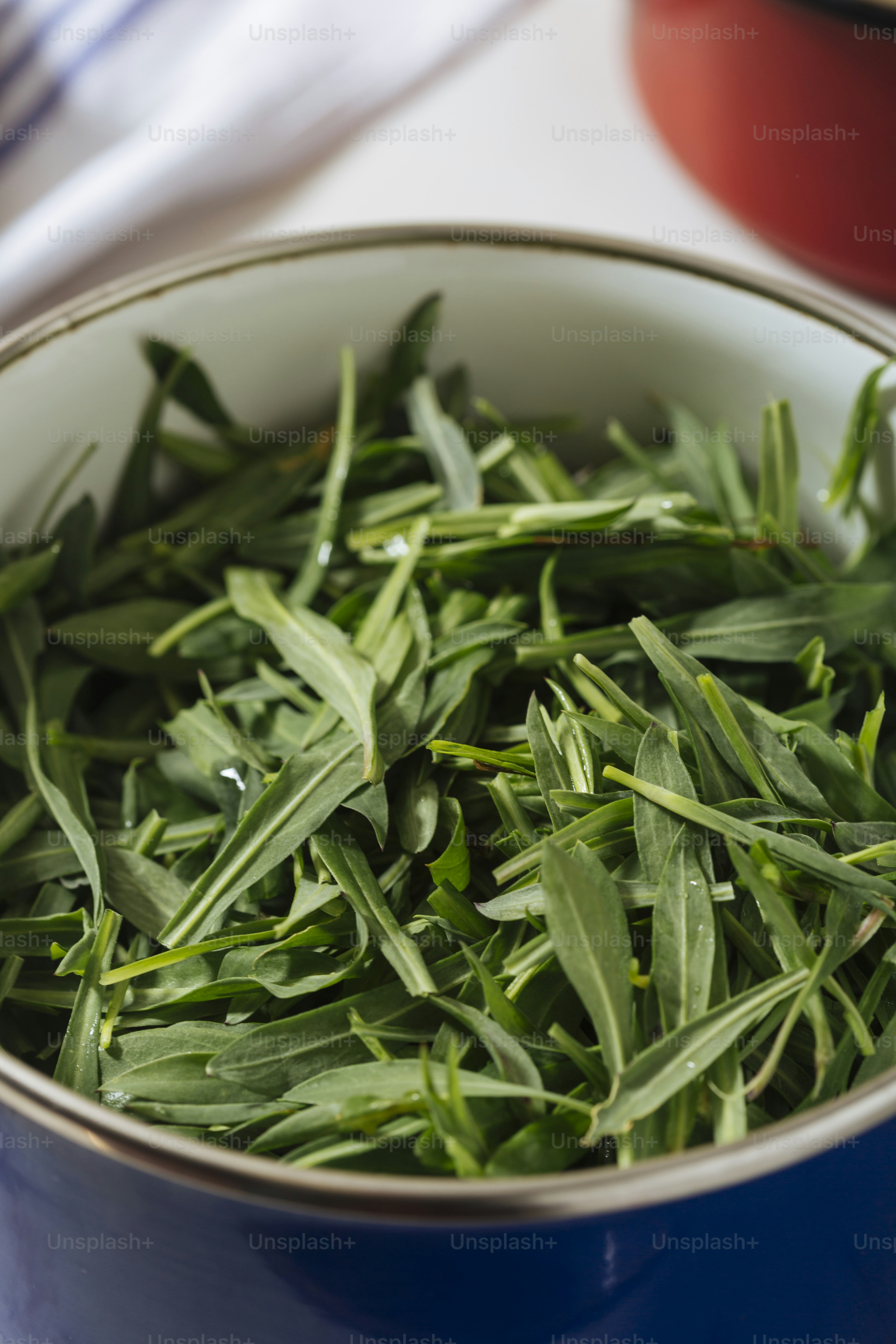 Silene Vulgaris, ramuan spontan yang lezat, ideal untuk risotto dan telur dadar