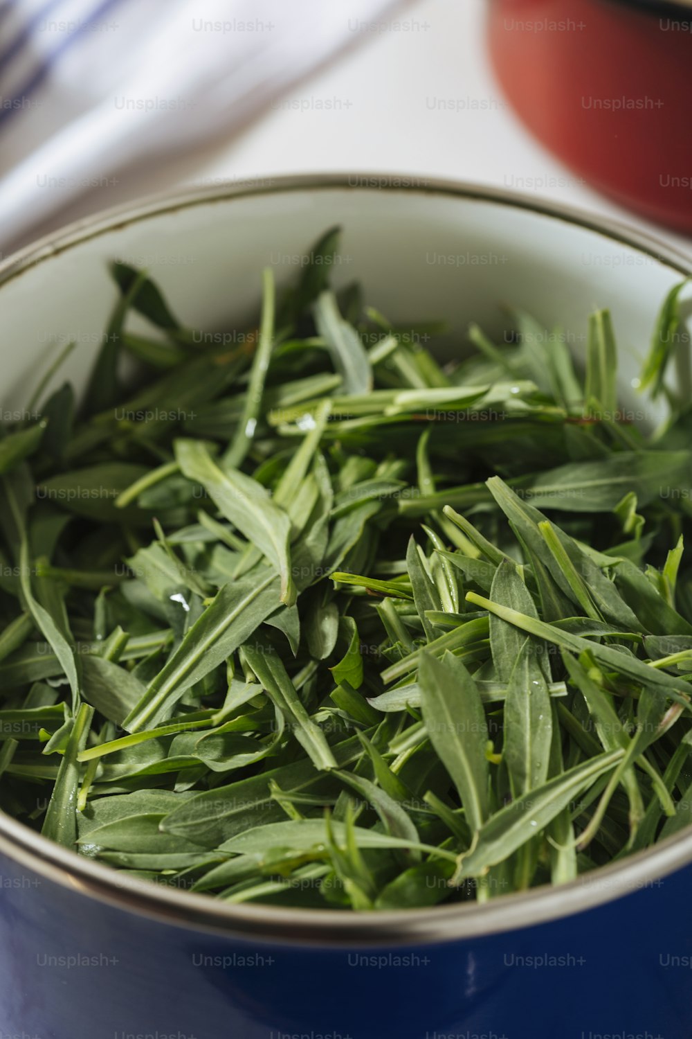 Silene Vulgaris, delicious spontaneous herb, ideal for risotto and omelettes.