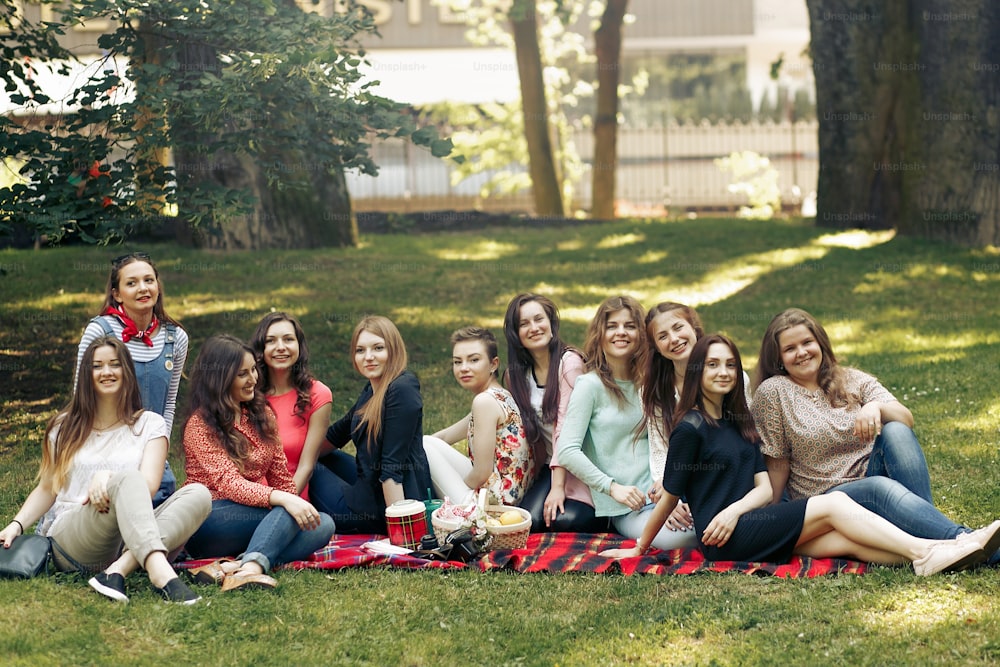 Gruppo felice alla moda di donne in posa e sorridente sul picnic, seduto sulla coperta, celebrazione di momenti gioiosi nel parco estivo