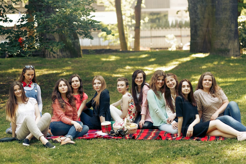 Gruppo felice alla moda di donne in posa e sorridente sul picnic, seduto sulla coperta, celebrazione di momenti gioiosi nel parco estivo