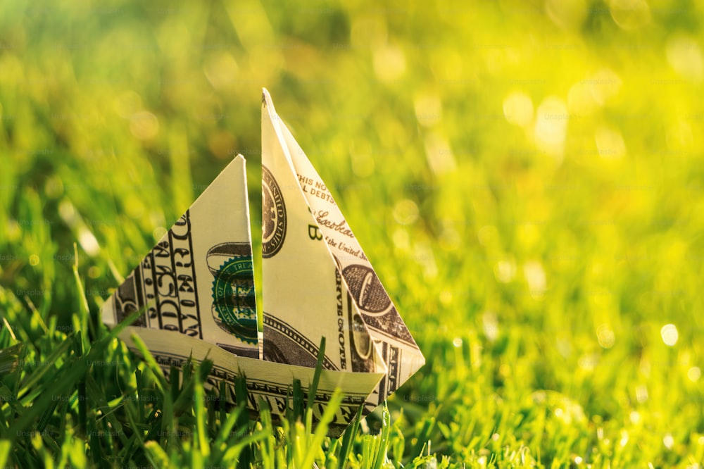 農業と農業の発展に資金を投資する。太陽の光が降り注ぐ緑の野原を背景に100ドル紙幣で折りたたまれた折り紙のコンセプトボート