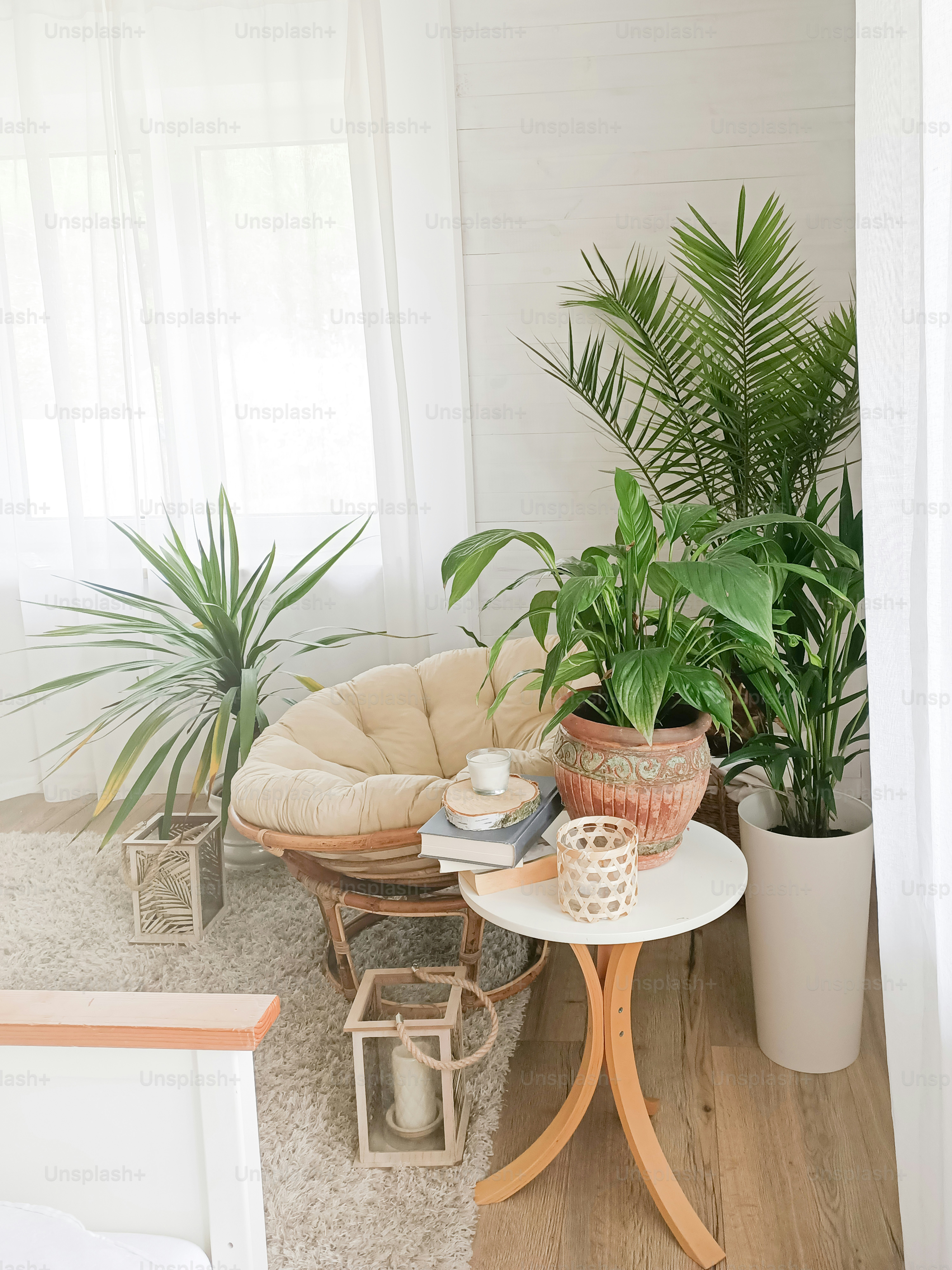 Casa com interior aconchegante da etnia boho na sala de estar. Plantas verdes em vasos de flores, decoração em casa