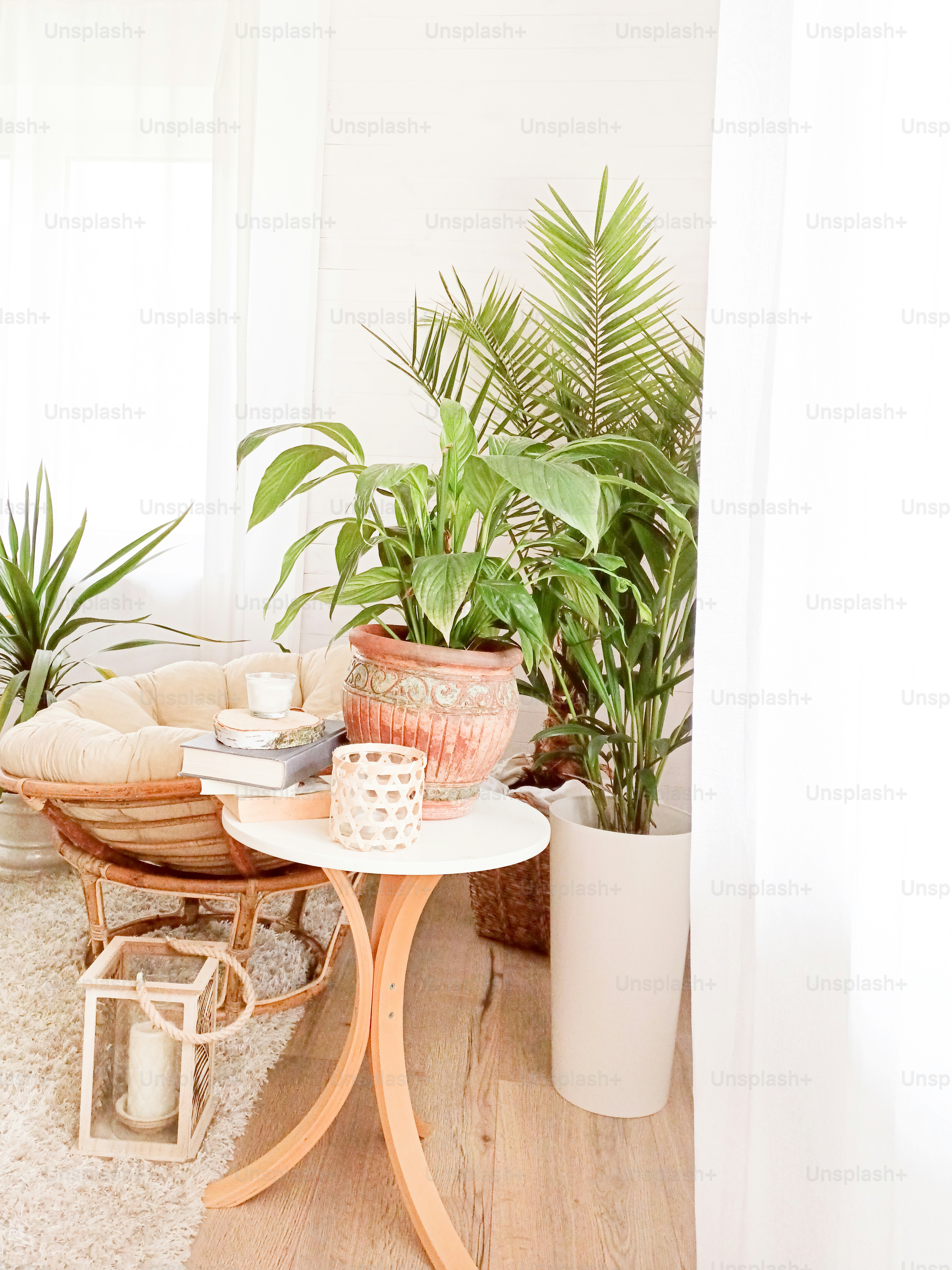 House with cozy boho ethnic interior in living room. Green plants in flower pots, decoration at home
