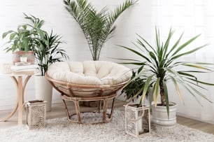 House with cozy boho ethnic interior in living room. Green plants in flower pots. Decoration at home.