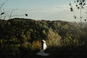 happy gorgeous bride and stylish groom hugging on background of sunny trees forest, space for text, honeymoon concept