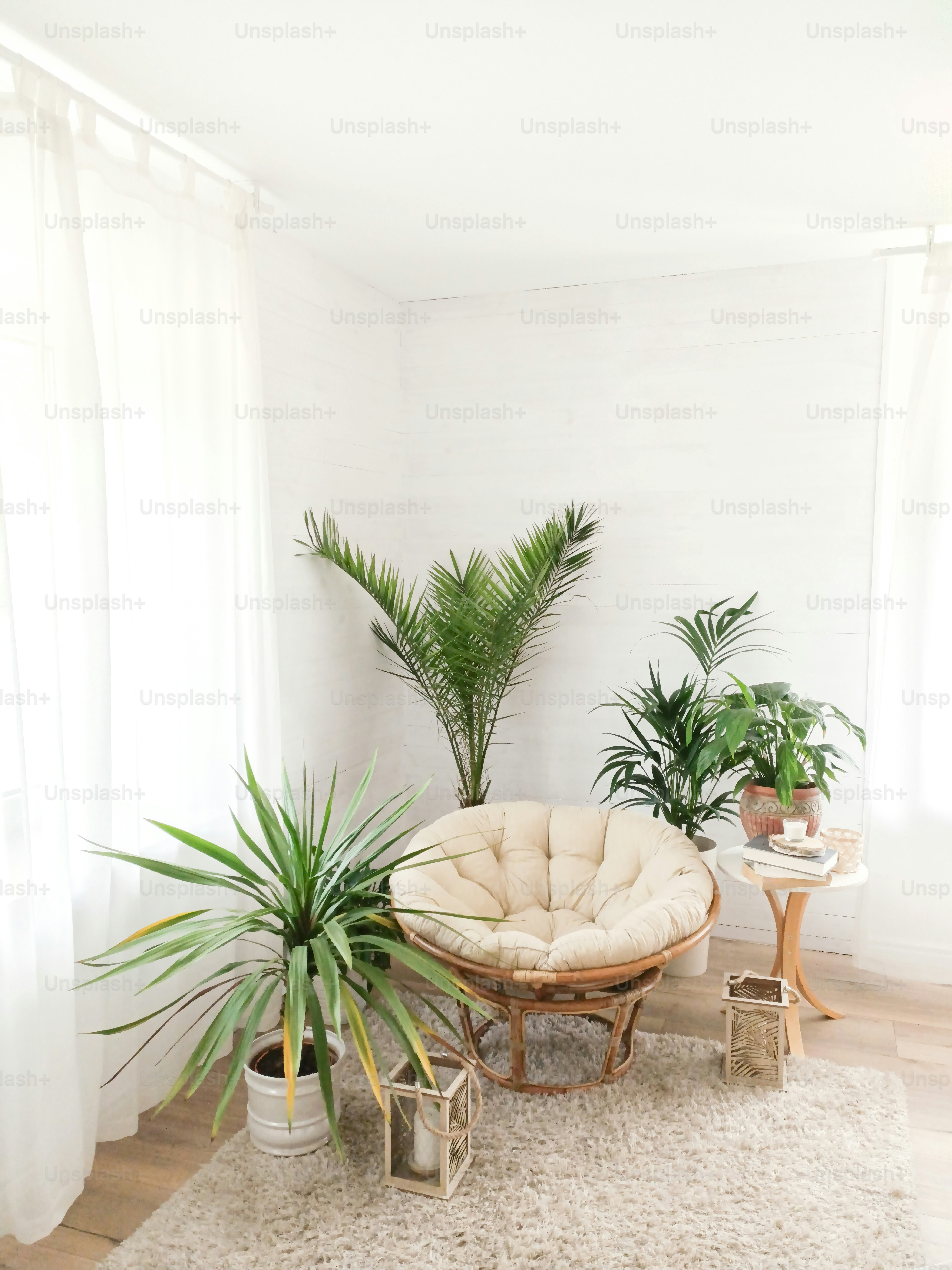 House with cozy boho ethnic interior in living room. Green plants in flower pots, decoration at home