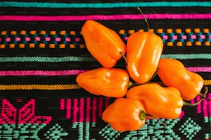 Habanero Chili, mexikanische Chilis scharfes Essen in Mexiko