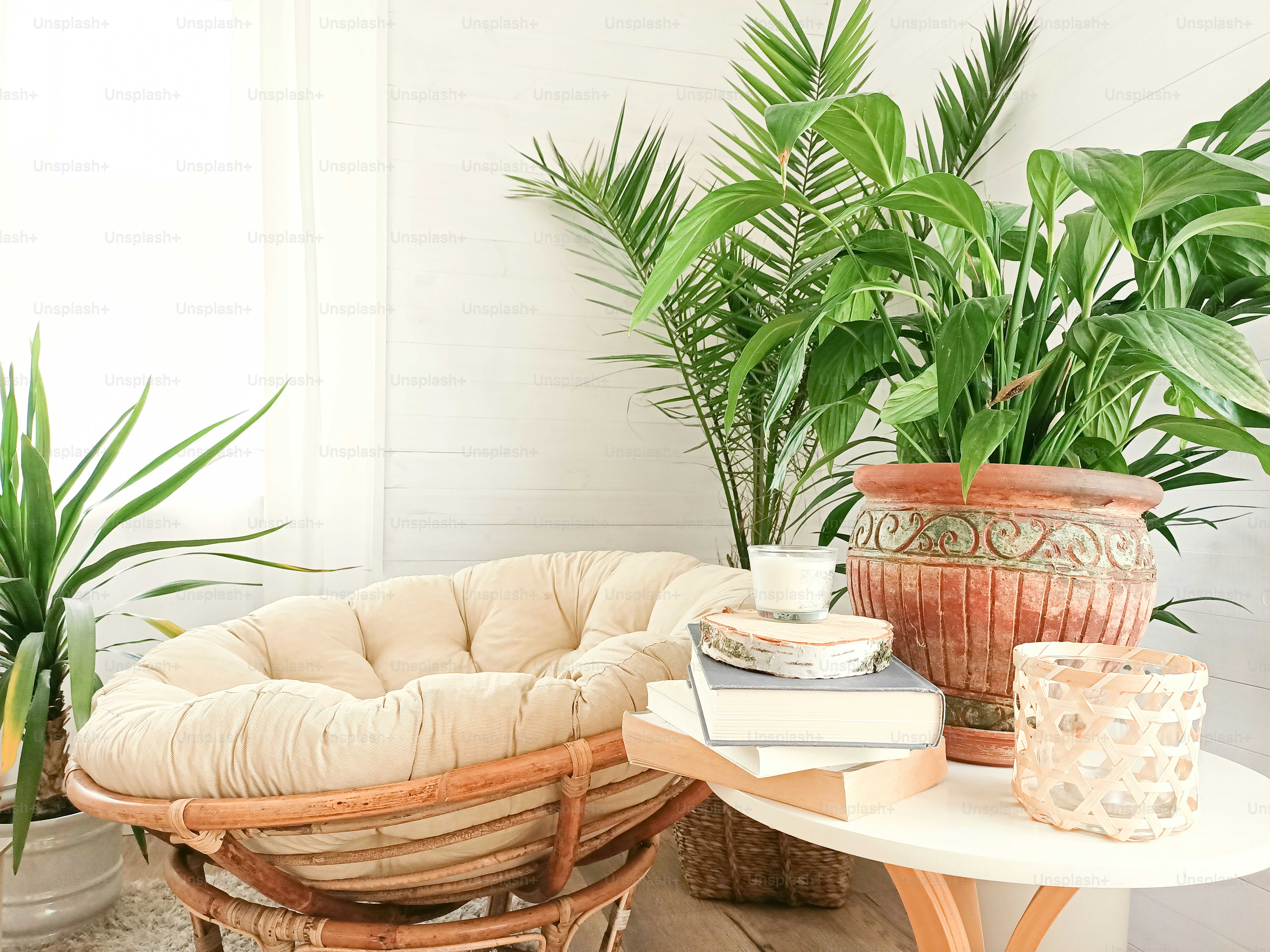 Casa con acogedor interior étnico boho en salón. Plantas verdes en macetas. Decoración en casa.