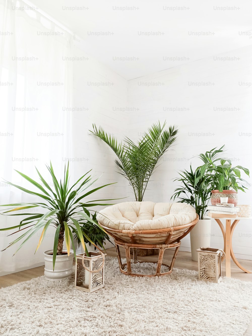 House with cozy boho ethnic interior in living room. Green plants in flower pots. Decoration at home.