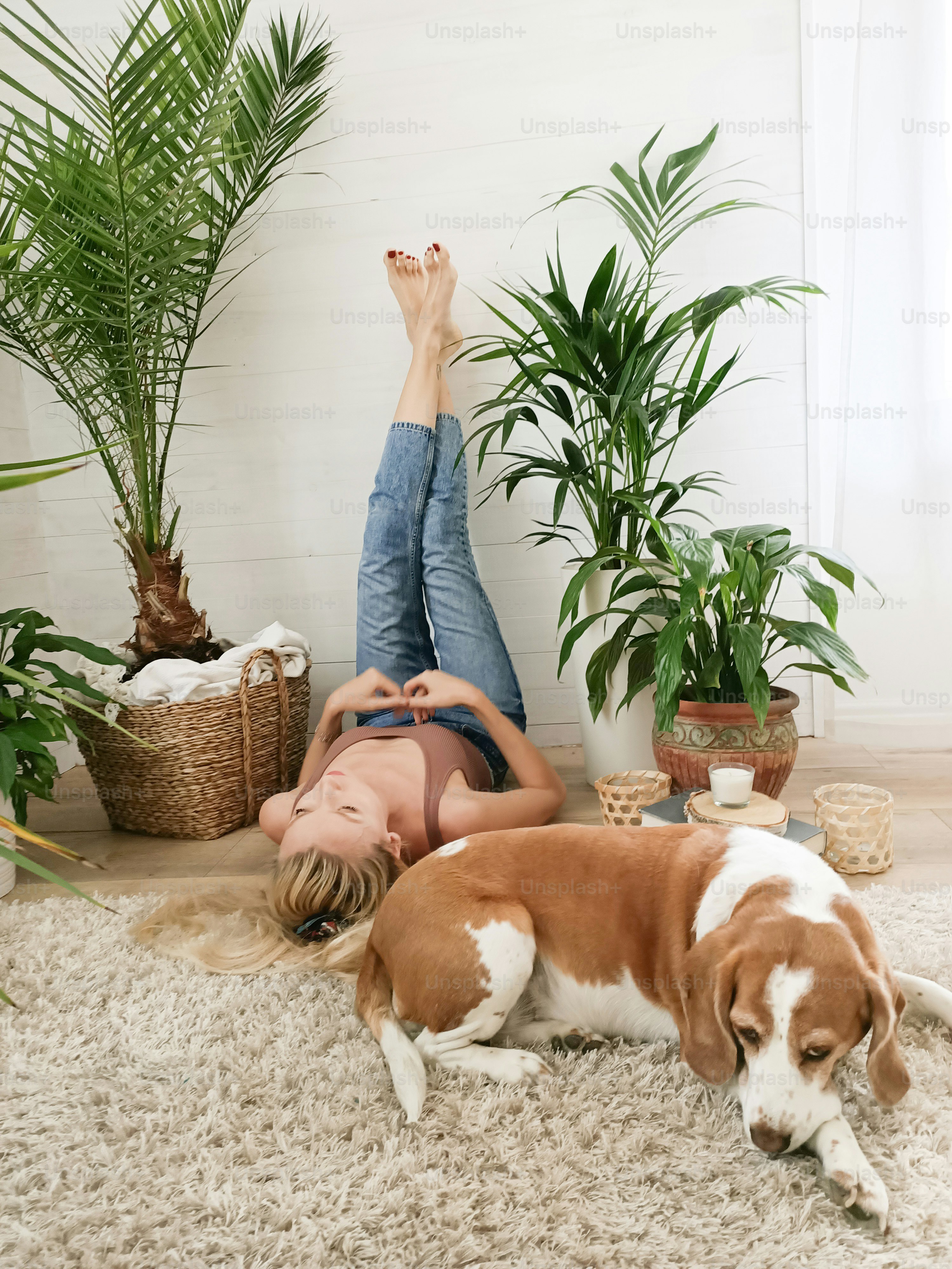 Best Bark Control Devices for Apartment Dogs
