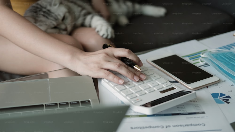 Mani femminili che lavorano sulla calcolatrice per il conteggio finanziario con il suo gatto.