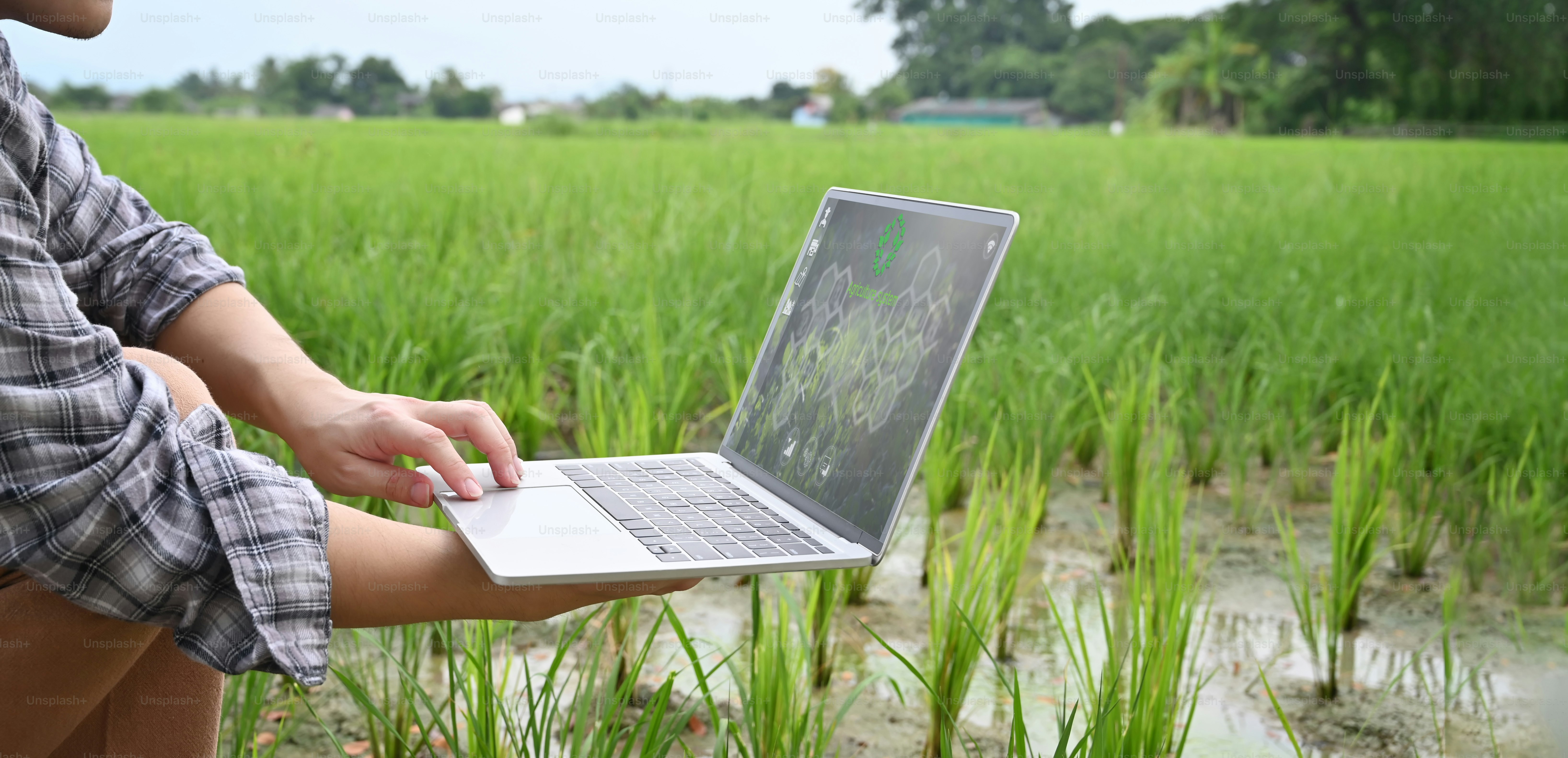 Immagine ritagliata di un giovane agricoltore intelligente che tiene in mano un computer portatile con un'icona visiva sullo schermo sopra il campo di riso come sfondo. Concetto di tecnologia agricola.