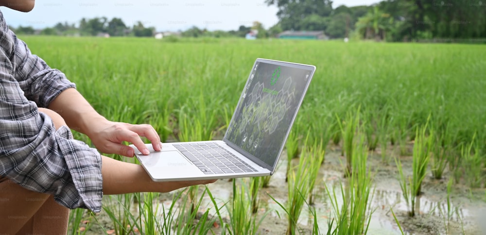 Immagine ritagliata di un giovane agricoltore intelligente che tiene in mano un computer portatile con un'icona visiva sullo schermo sopra il campo di riso come sfondo. Concetto di tecnologia agricola.