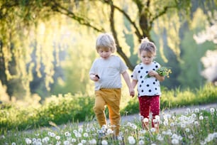 春の自然の中で屋外を歩く小さな子供の男の子と女の子の正面図。