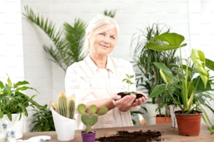 Mujer mayor feliz y sonriente cultivando plantas en macetas en casa. Pasatiempo relajante.