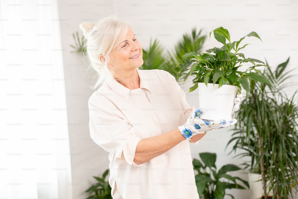 Personas mayores, tareas domésticas y concepto de cuidado de plantas: mujer sonriente feliz con flor verde en maceta en casa.