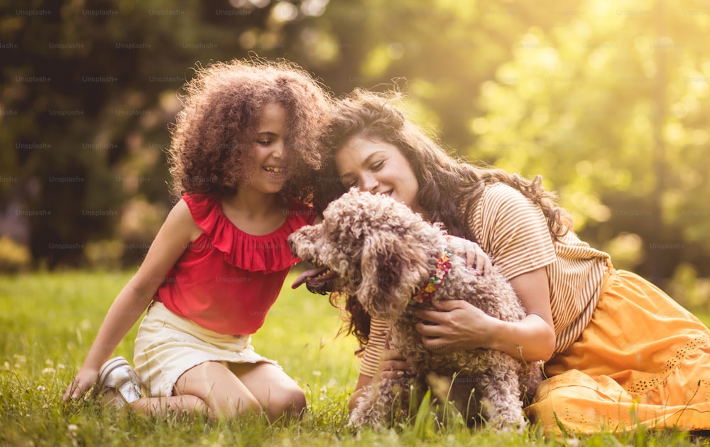 Our new friends. Mother and daughter playing with dog in the park.