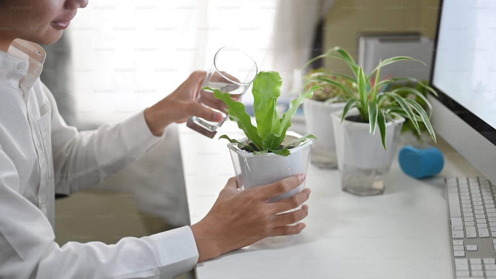 Cropped shot man is watering the potted plant at the white working desk.