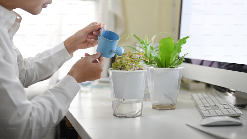 Ein Büromann gießt die Topfpflanze am weißen Schreibtisch.