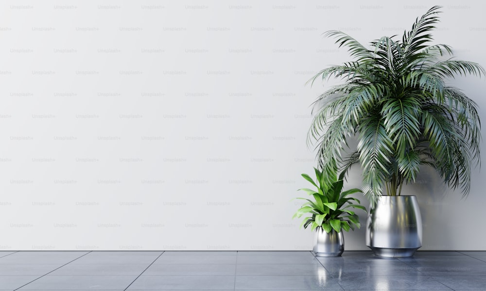 Stanza vuota a parete bianca con piante su un pavimento, rendering 3D