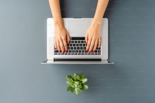 Woman’s hands working on laptop. Business background. Top view