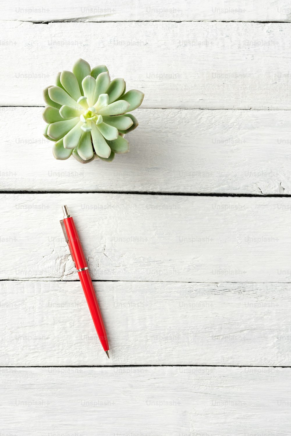 Foto cenital de bolígrafo rojo y flor pequeña sobre mesa de madera blanca con copyspace. Concepto de escritorio de oficina