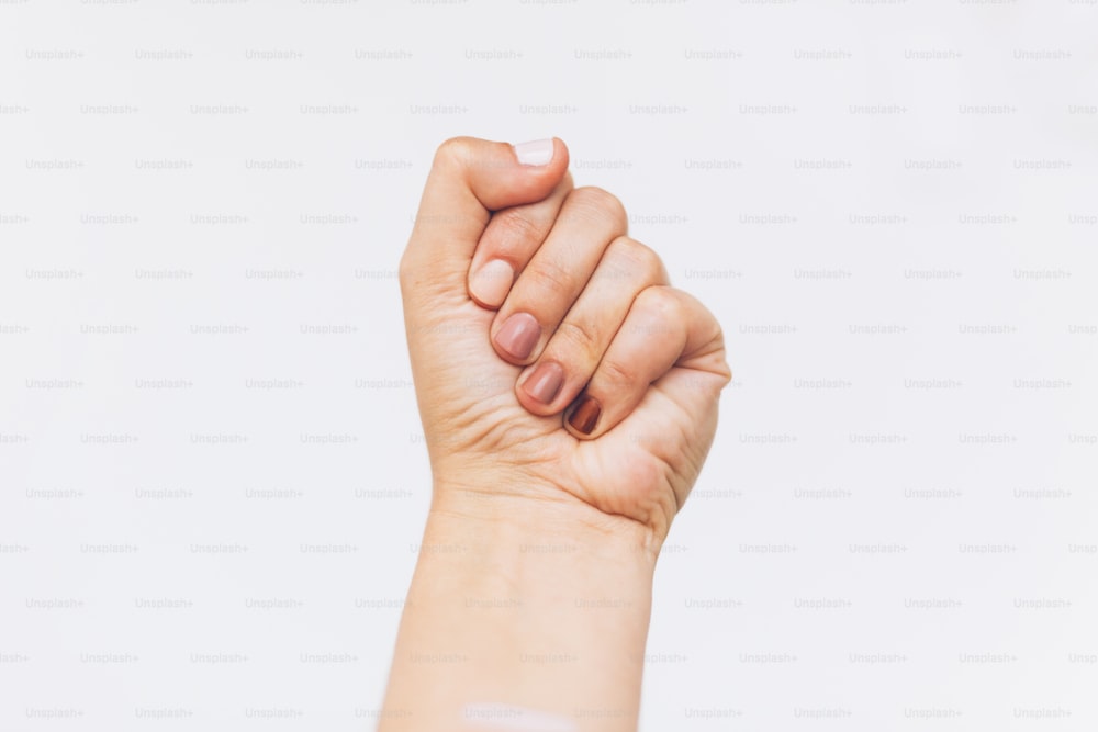 Female fist protesting on white background. Female hand raised up with different nails colors, skin and race diversity. Women rights concept. Stop racism
