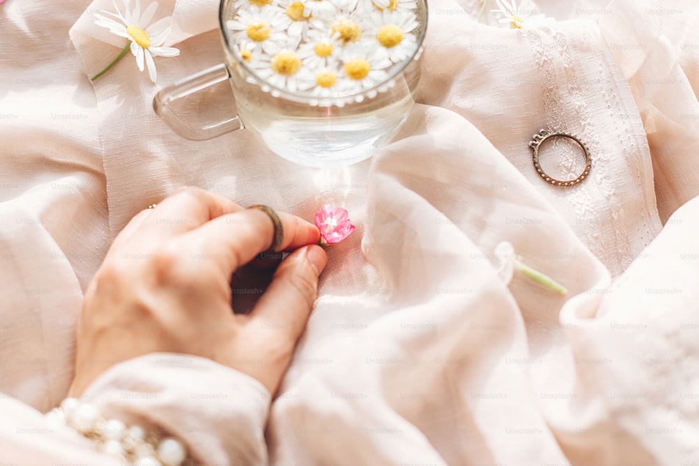 Hand holding pink wildflower on background of soft beige fabric with glass cup with daisy flowers and jewelry in sunny light. Tender floral aesthetic. Creative summer image. Bohemian mood