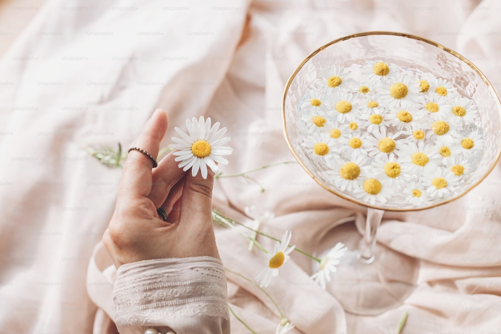 Main avec des bijoux tenant une fleur de marguerite sur fond de tissu beige doux avec un verre à vin élégant avec des fleurs dans l’eau. Esthétique florale tendre. Image d’été créative. Humeur bohème