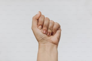 Female fist protesting on white background. Female hand raised up with different nails colors, skin and race diversity. Women rights concept. Stop racism