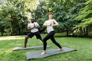 Full length portrait of athletic multiethnic couple, man and woman in sportswear, holding palms together while working out or doing yoga in green park.