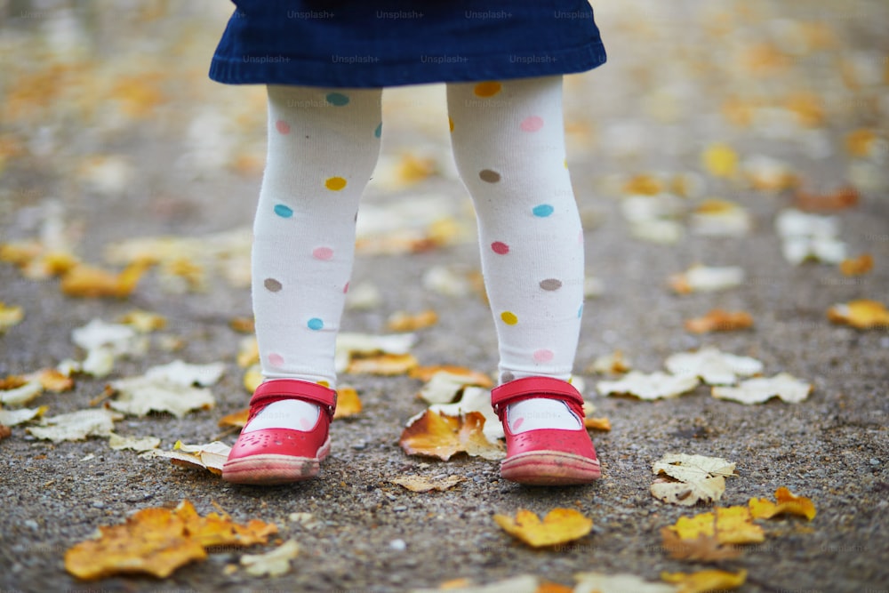 Toddler girl in red shoes and polka dot pantihose standing on fallen leaves in a fall day. Child enjoying autumn day in park. Stylish and beautiful clothes and shoes for kids
